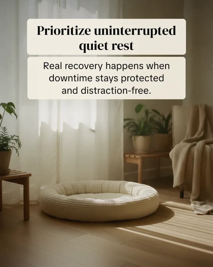 quiet rest inspiration