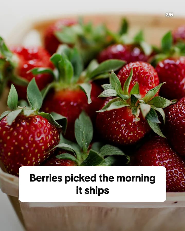 Slide 2: Berries picked the morning it ships