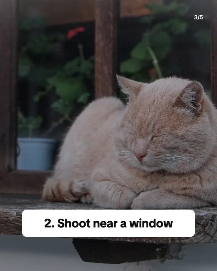 Slide 3: 2. Shoot near a window