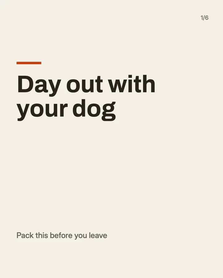 Slide 1: Day out with your dog Pack this before you leave