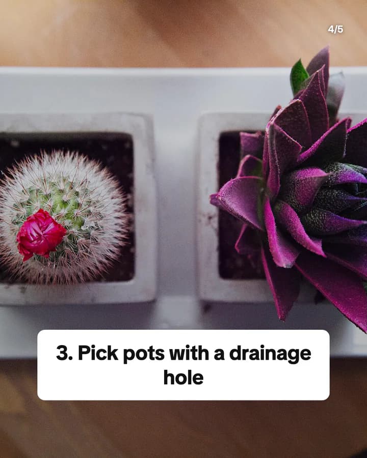 Slide 4: 3. Pick pots with a drainage hole