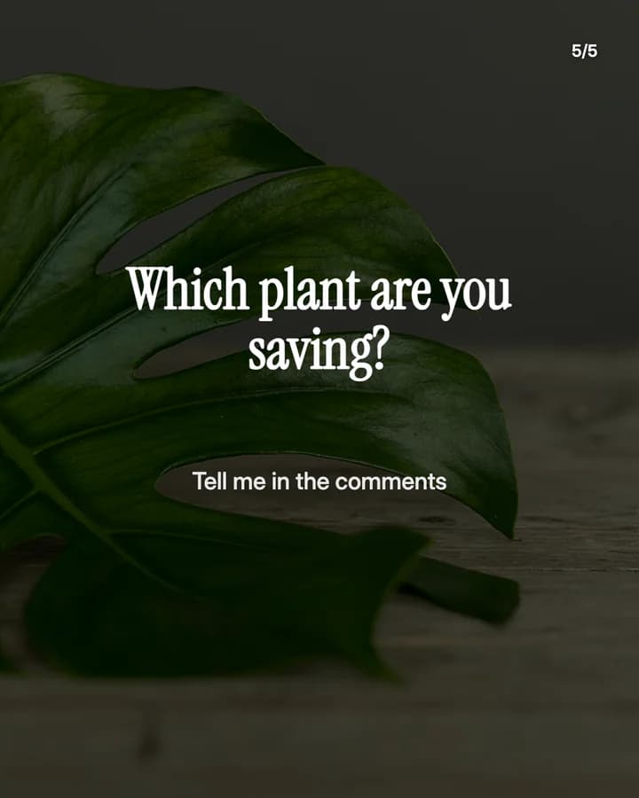 Slide 5: Which plant are you saving? Tell me in the comments