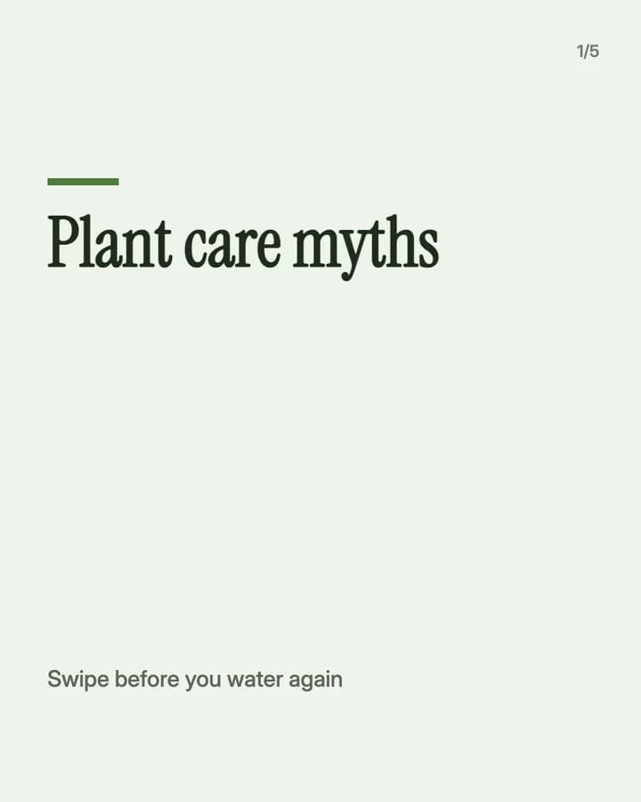 Slide 1: Plant care myths Swipe before you water again
