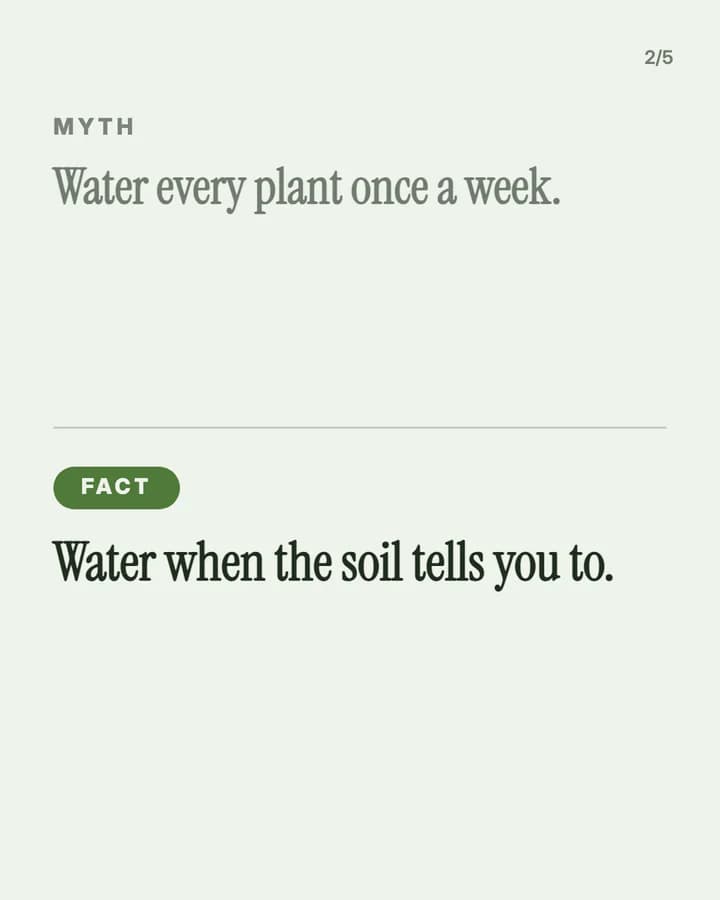Slide 2: Myth: Water every plant once a week. Fact: Water when the soil tells you to.